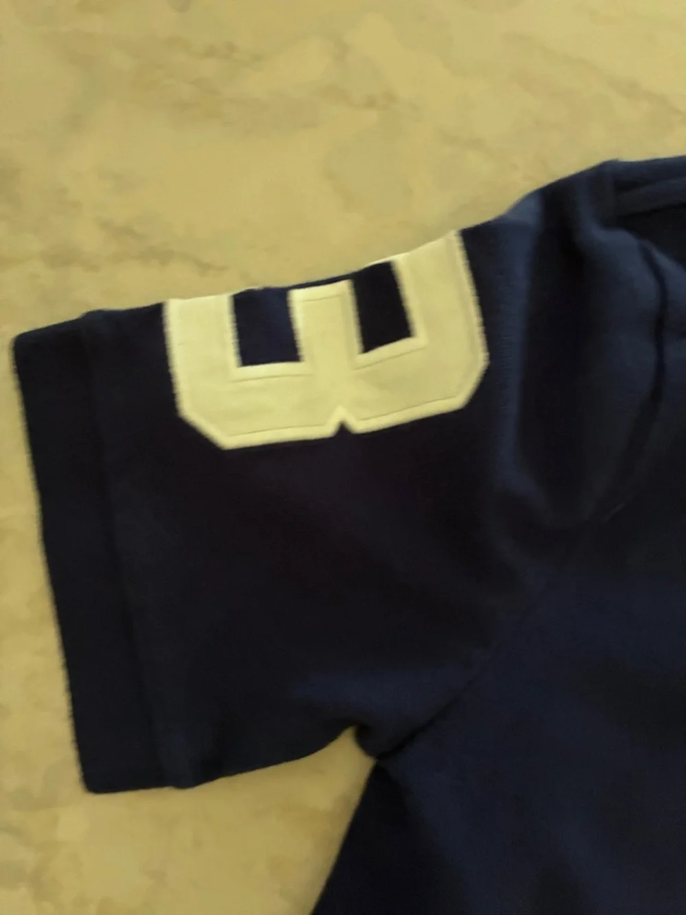 Ralph Lauren Navy Polo with Embroidered Logo
